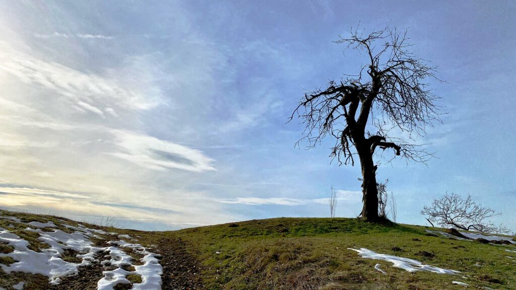 Winterbild